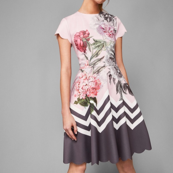 ted baker haiilie dress